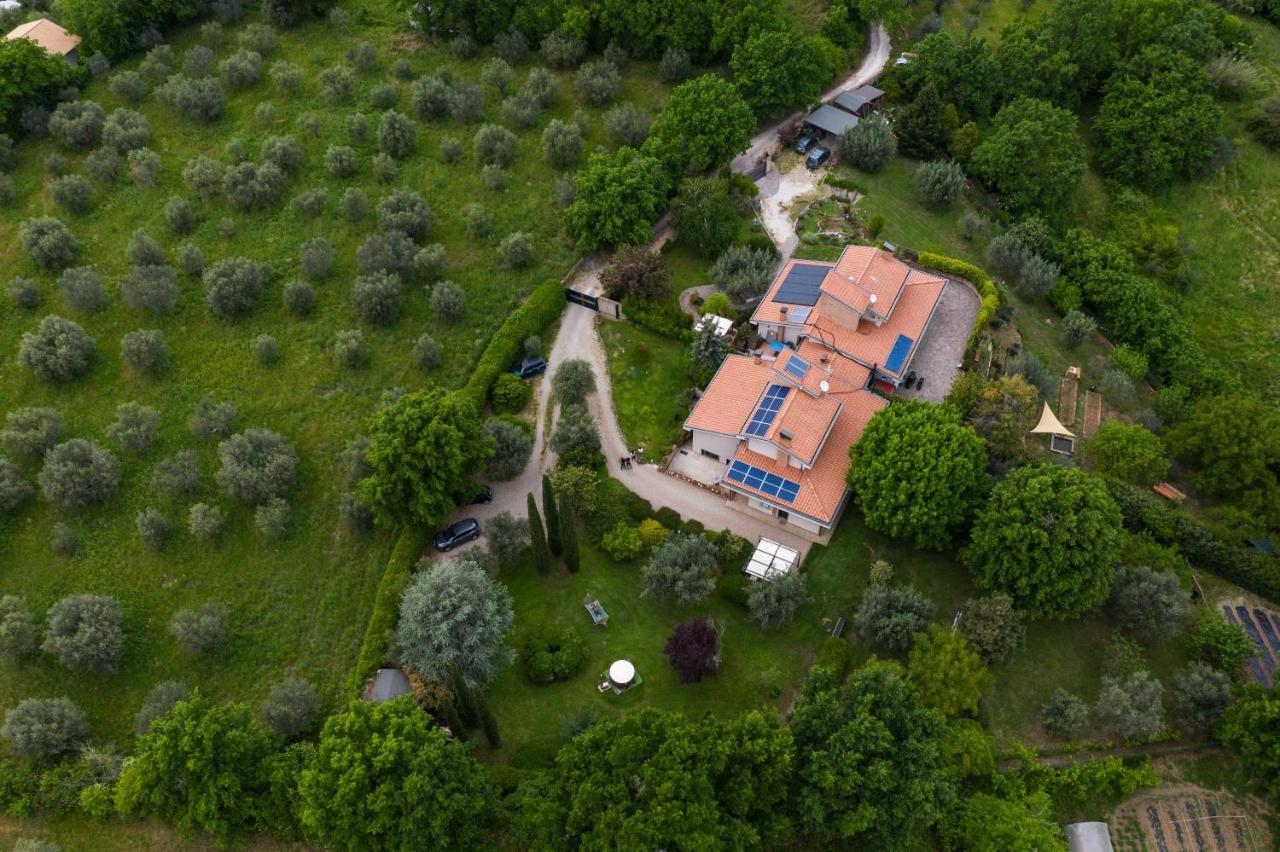 Bed and Breakfast Bio & B - Italyke Viterbo Esterno foto